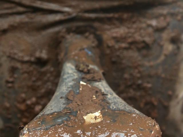 RDHF 2015 - Raid des Hautes Fagnes - photo 73