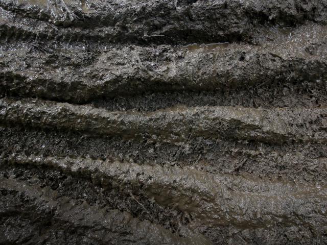 RDHF 2015 - Raid des Hautes Fagnes - photo 89