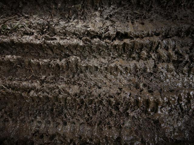 RDHF 2015 - Raid des Hautes Fagnes - photo 90