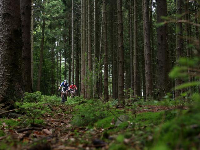 RDHF 2016 - Raid des Hautes Fagnes - photo 18