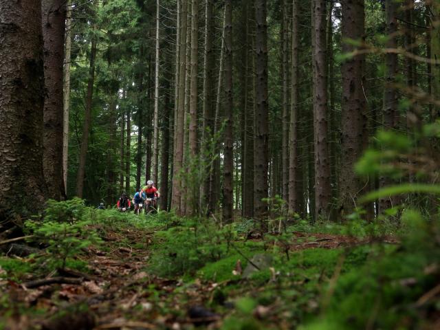 RDHF 2016 - Raid des Hautes Fagnes - photo 19