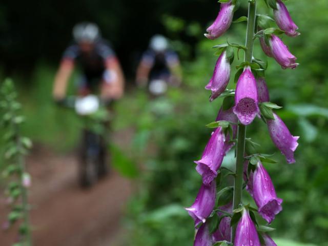 RDHF 2016 - Raid des Hautes Fagnes - photo 30