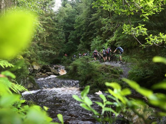 RDHF 2016 - Raid des Hautes Fagnes - photo 42