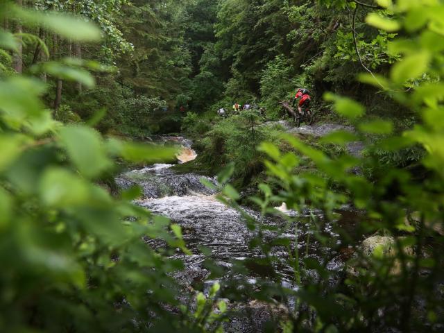 RDHF 2016 - Raid des Hautes Fagnes - photo 43