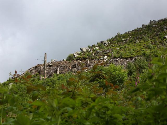 RDHF 2016 - Raid des Hautes Fagnes - photo 44