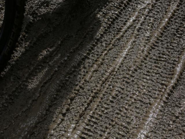 RDHF 2016 - Raid des Hautes Fagnes - photo 46