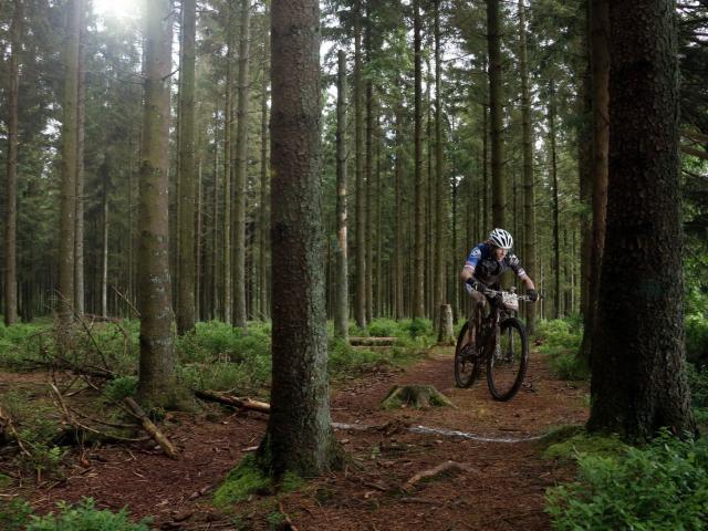 RDHF 2016 - Raid des Hautes Fagnes - photo 49