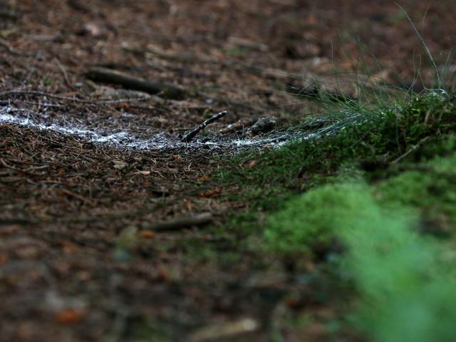 RDHF 2016 - Raid des Hautes Fagnes - photo 53