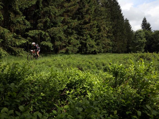 RDHF 2016 - Raid des Hautes Fagnes - photo 65