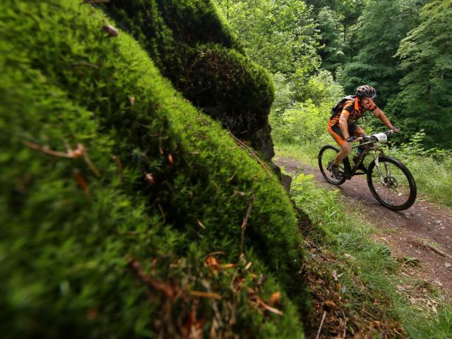 RDHF 2016 - Raid des Hautes Fagnes - photo 109