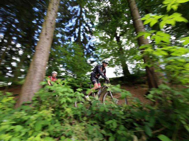 RDHF 2016 - Raid des Hautes Fagnes - photo 121