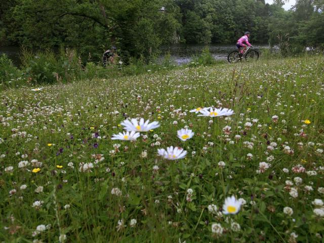 RDHF 2016 - Raid des Hautes Fagnes - photo 123