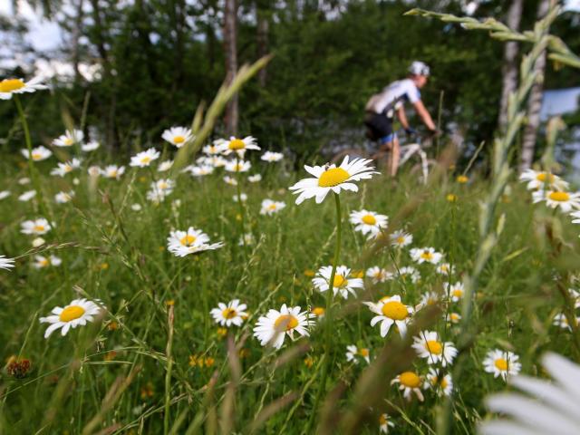 RDHF 2016 - Raid des Hautes Fagnes - photo 124