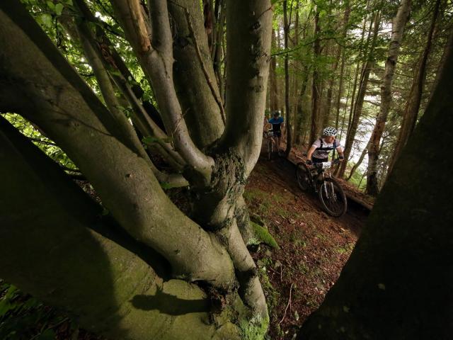 RDHF 2016 - Raid des Hautes Fagnes - photo 125