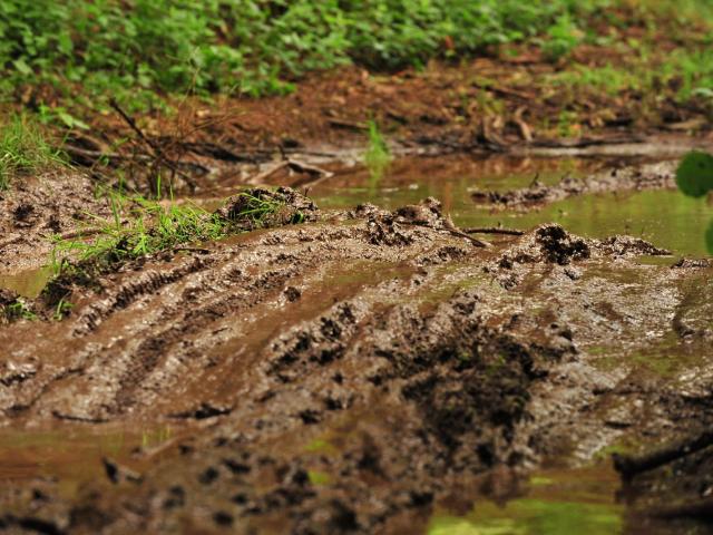 RDHF 2016 - Raid des Hautes Fagnes - photo 129