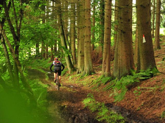 RDHF 2016 - Raid des Hautes Fagnes - photo 131