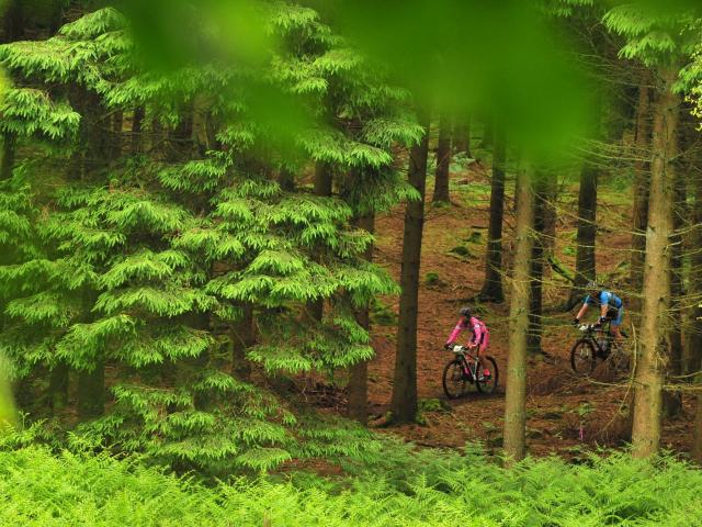 RDHF 2016 - Raid des Hautes Fagnes - photo 135