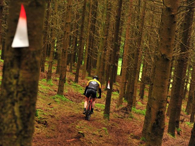 RDHF 2016 - Raid des Hautes Fagnes - photo 136