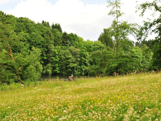 RDHF 2016 - Raid des Hautes Fagnes - photo 143