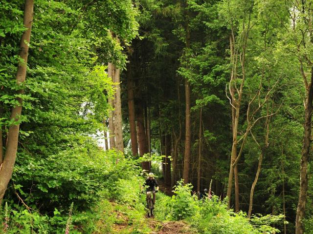 RDHF 2016 - Raid des Hautes Fagnes - photo 145