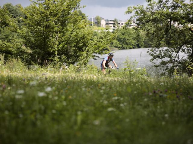 RDHF 2016 - Raid des Hautes Fagnes - photo 149