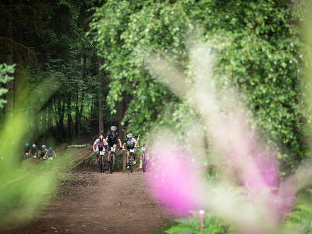 RDHF 2018 - Raid des Hautes Fagnes - photo 41