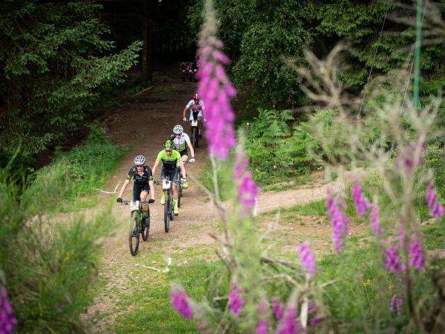 RDHF 2018 - Raid des Hautes Fagnes - photo 42
