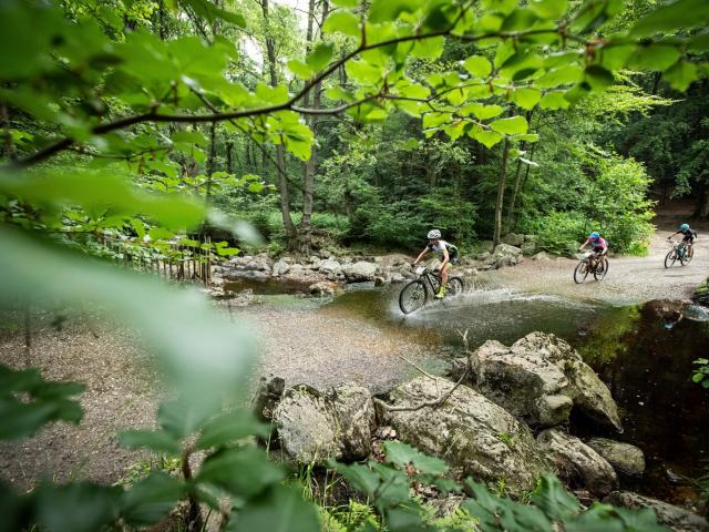 RDHF 2018 - Raid des Hautes Fagnes - photo 53