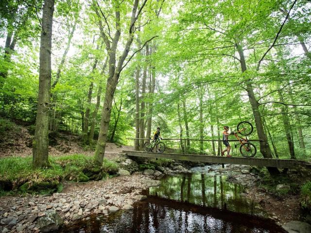 RDHF 2018 - Raid des Hautes Fagnes - photo 55