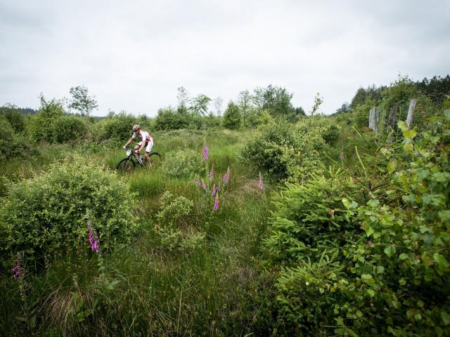 RDHF 2018 - Raid des Hautes Fagnes - photo 60