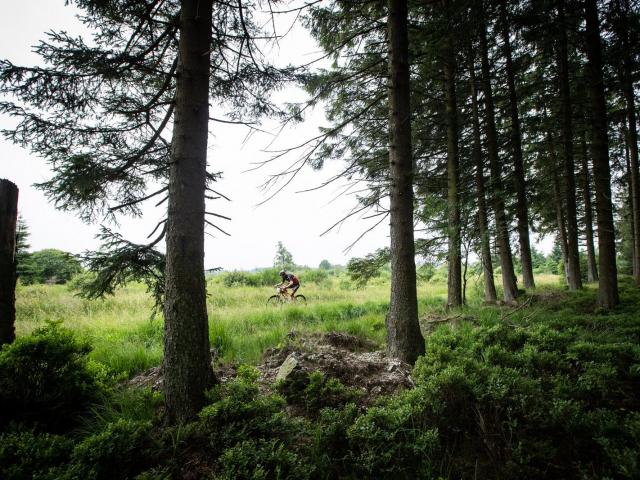 RDHF 2018 - Raid des Hautes Fagnes - photo 63
