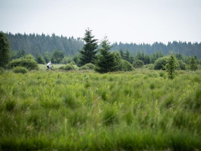 RDHF 2018 - Raid des Hautes Fagnes - photo 64