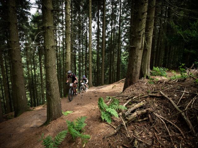 RDHF 2018 - Raid des Hautes Fagnes - photo 75