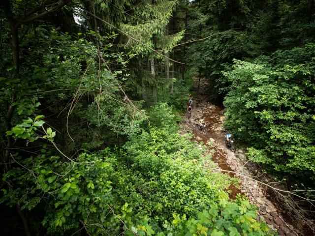 RDHF 2018 - Raid des Hautes Fagnes - photo 84