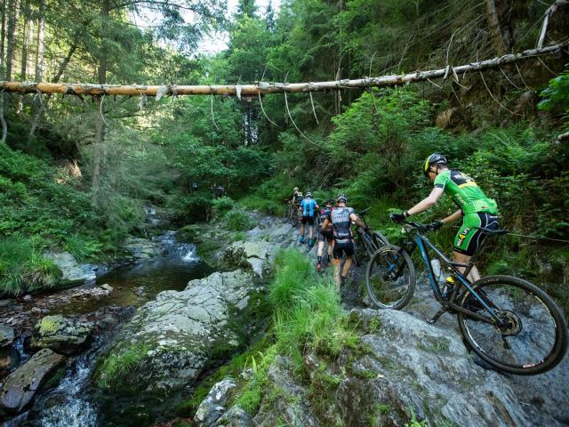 RDHF 2019 - Raid des Hautes Fagnes - photo 81