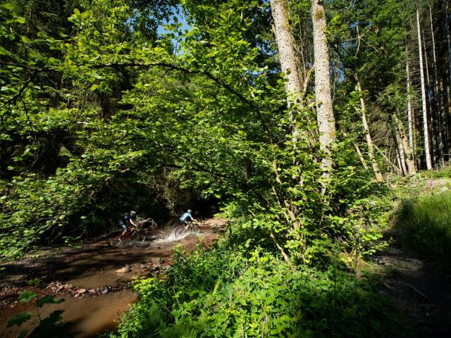 RDHF 2019 - Raid des Hautes Fagnes - photo 89