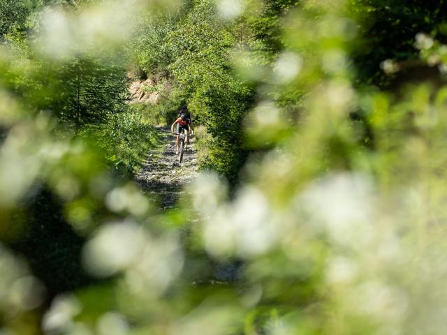 RDHF 2019 - Raid des Hautes Fagnes - photo 90