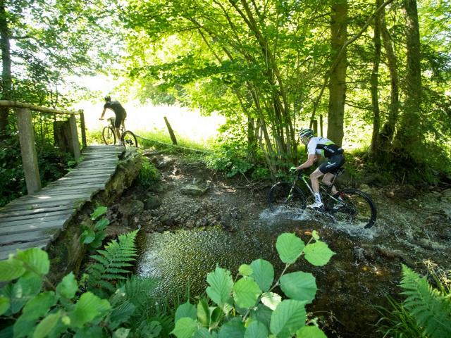 RDHF 2019 - Raid des Hautes Fagnes - photo 93