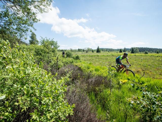 RDHF 2019 - Raid des Hautes Fagnes - photo 101