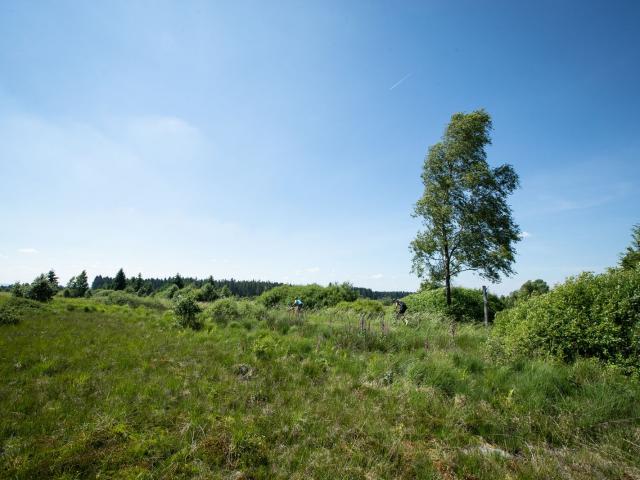 RDHF 2019 - Raid des Hautes Fagnes - photo 102