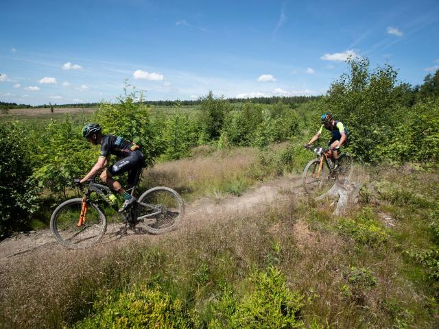 RDHF 2019 - Raid des Hautes Fagnes - photo 111