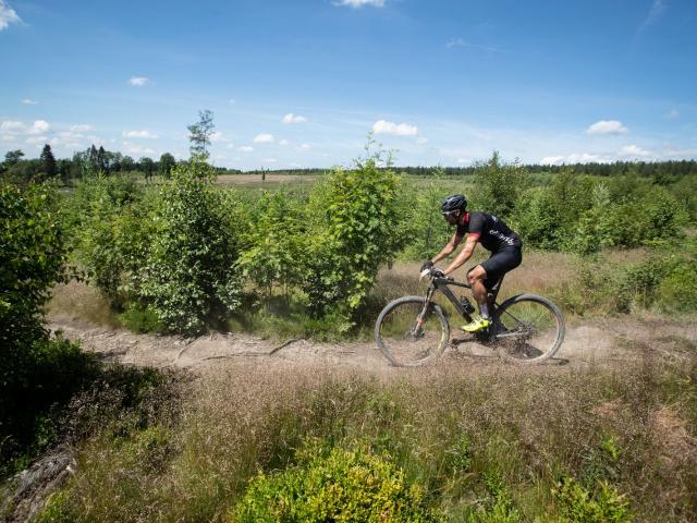 RDHF 2019 - Raid des Hautes Fagnes - photo 112