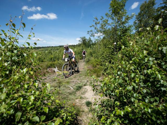 RDHF 2019 - Raid des Hautes Fagnes - photo 113