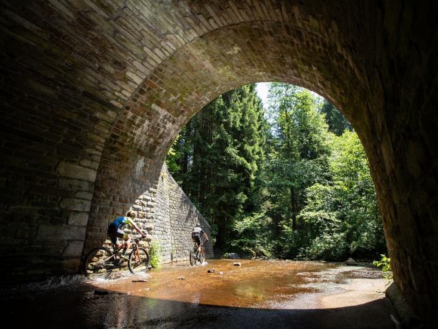 RDHF 2019 - Raid des Hautes Fagnes - photo 130