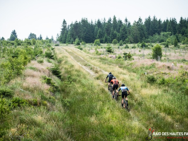 RDHF 2022 - Raid des Hautes Fagnes - photo 105