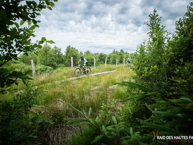 RDHF 2022 - Raid des Hautes Fagnes - photo 121