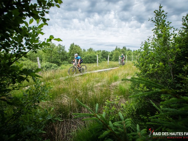 RDHF 2022 - Raid des Hautes Fagnes - photo 122