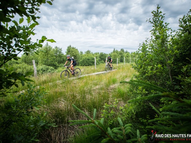 RDHF 2022 - Raid des Hautes Fagnes - photo 124