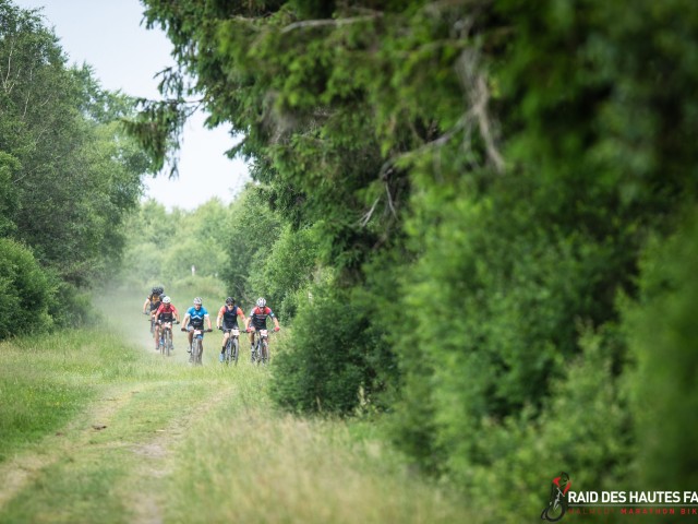 RDHF 2022 - Raid des Hautes Fagnes - photo 145