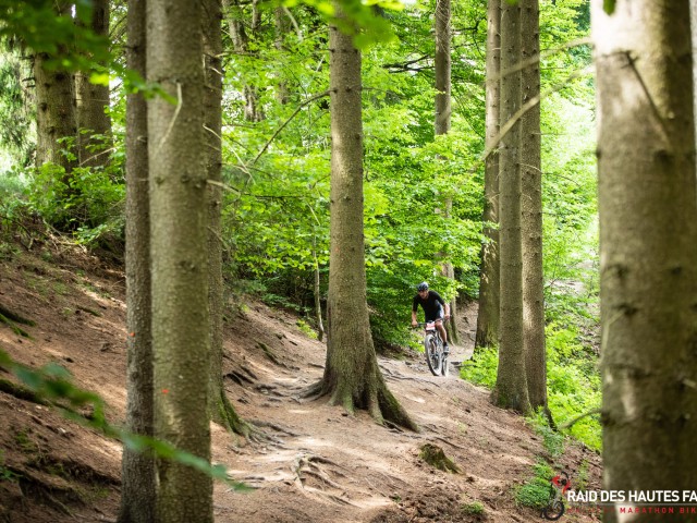 RDHF 2022 - Raid des Hautes Fagnes - photo 148